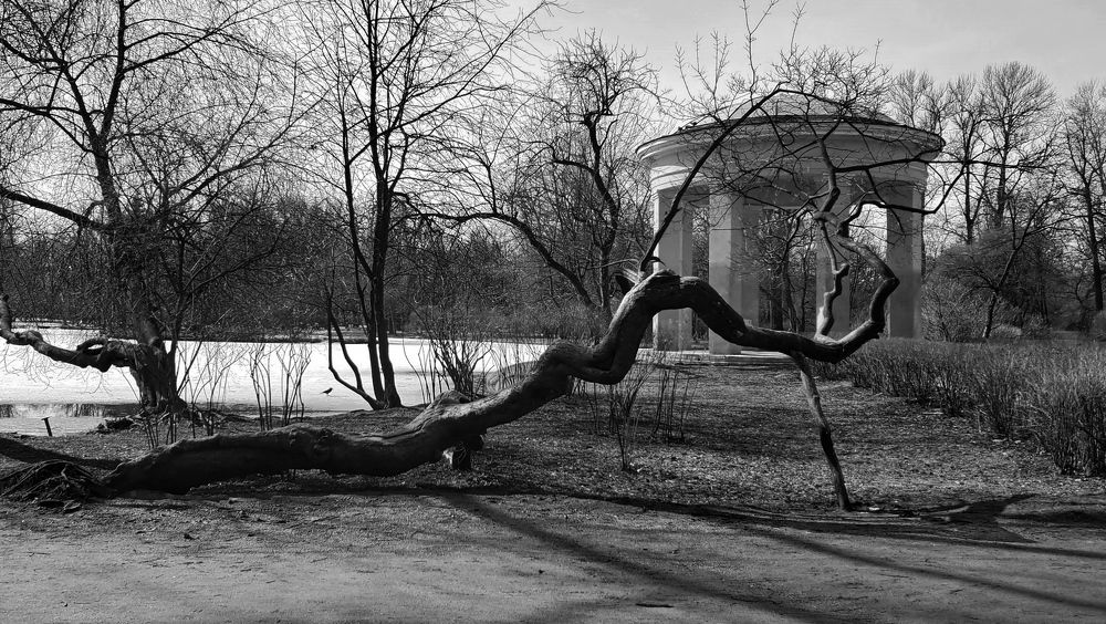 Фотография автора  Галина