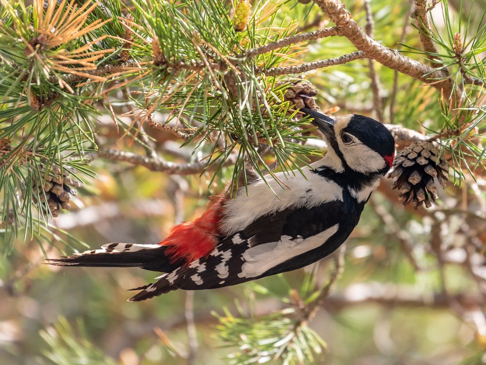 Фотография автора Юрий Макаров