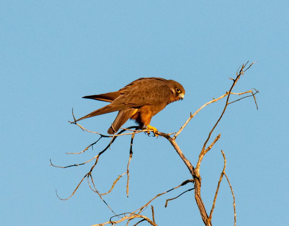 Photograph by Jesus Varas