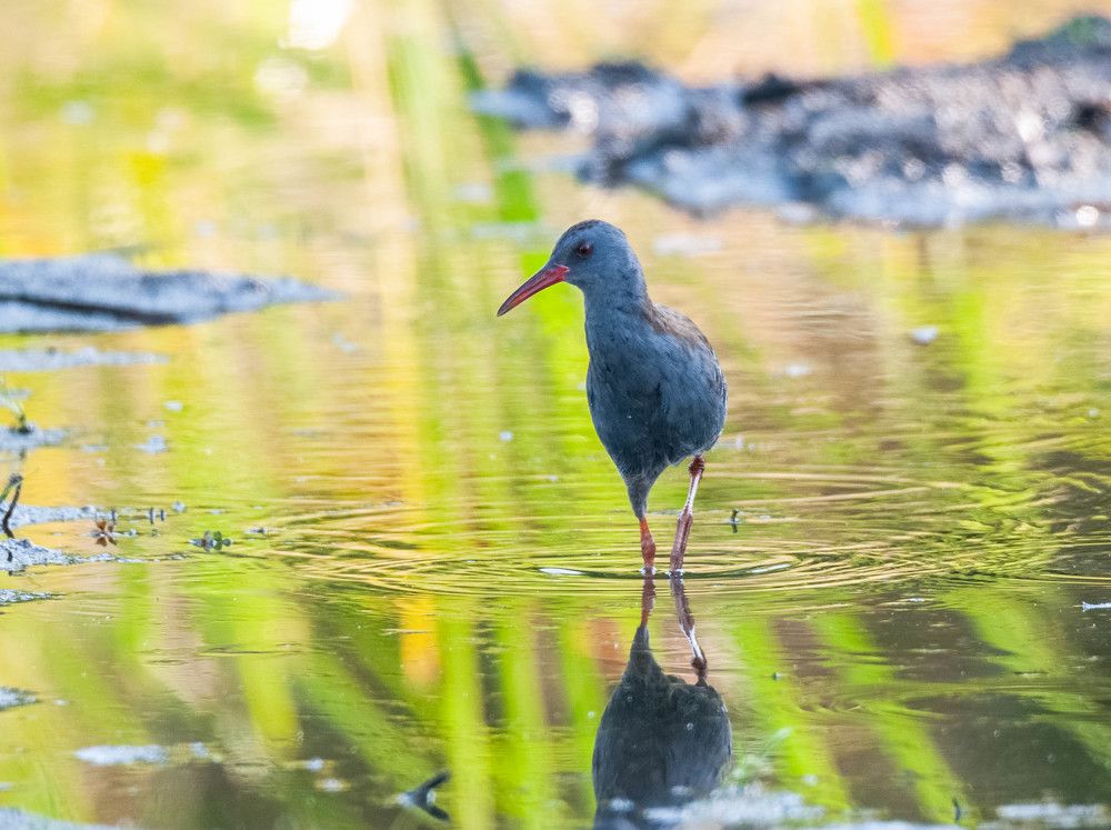 Photograph by Jesus Varas