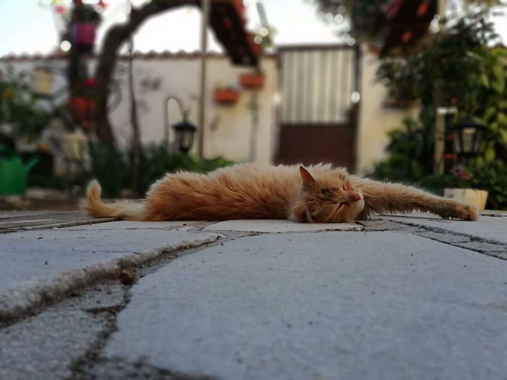 Photograph by Anna Gancheva