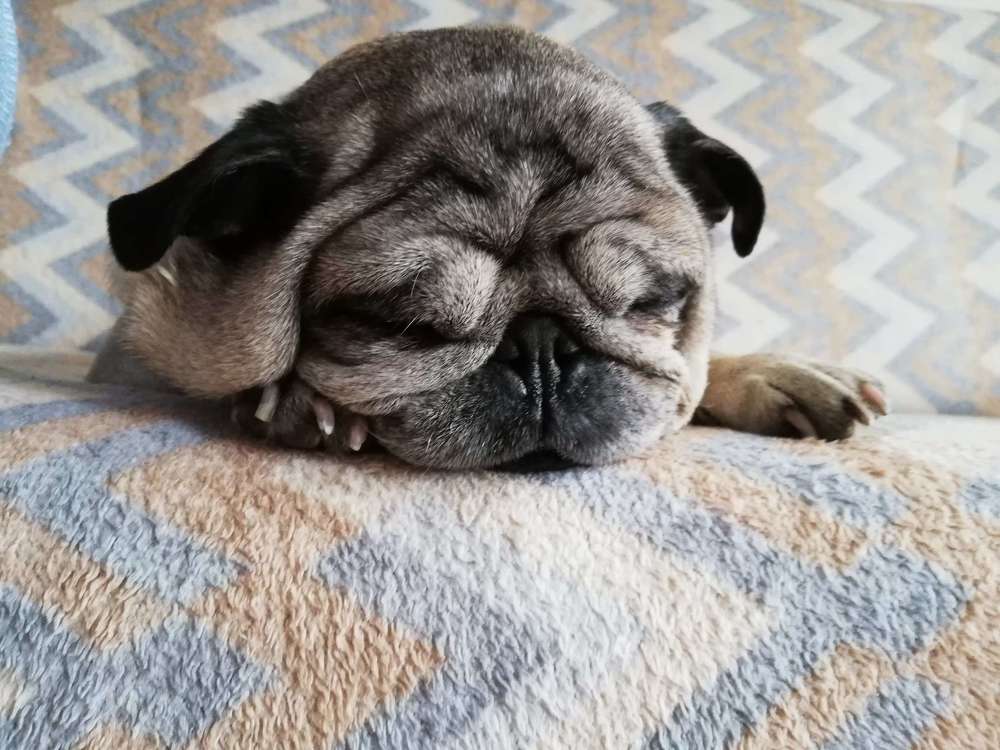 Photograph by Anna Gancheva