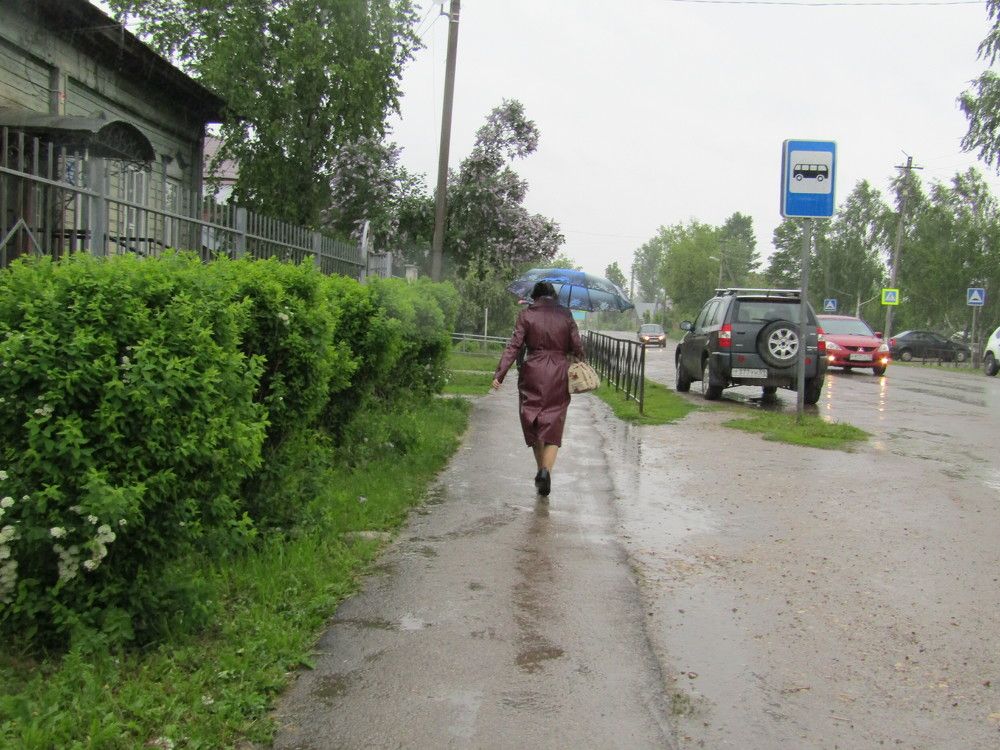 Photograph by Николай Худяков