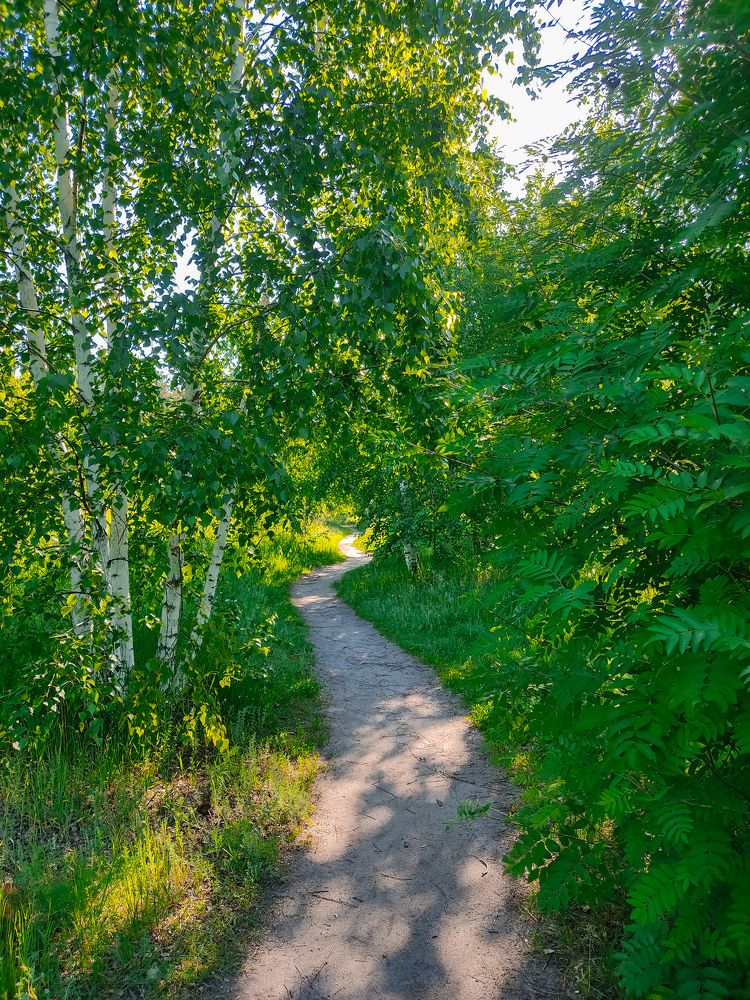 Photograph by Дмитрий Тимин