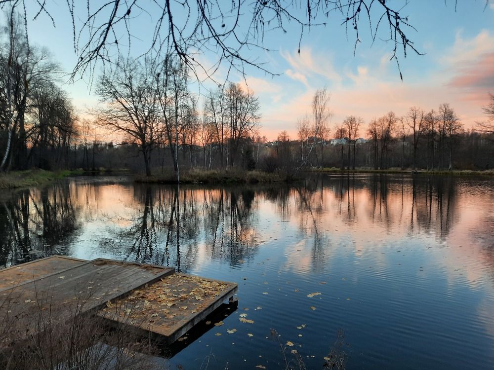 Photograph by Галина Шипухина