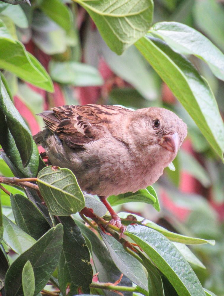 Photograph by Juan Carlos Molina Montes de Oca