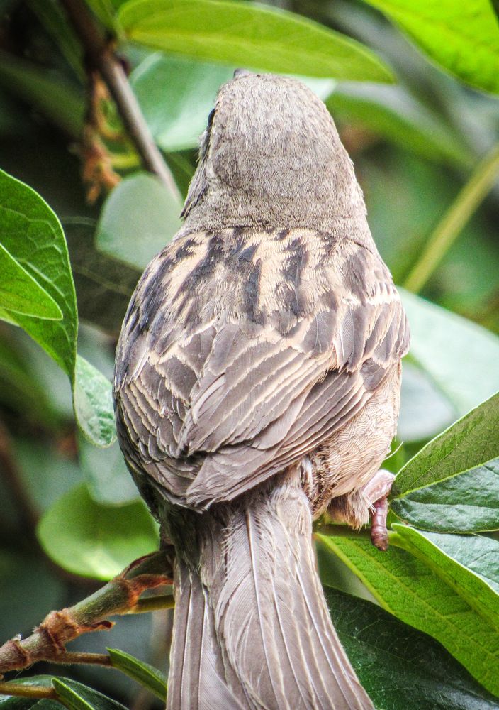 Photograph by Juan Carlos Molina Montes de Oca