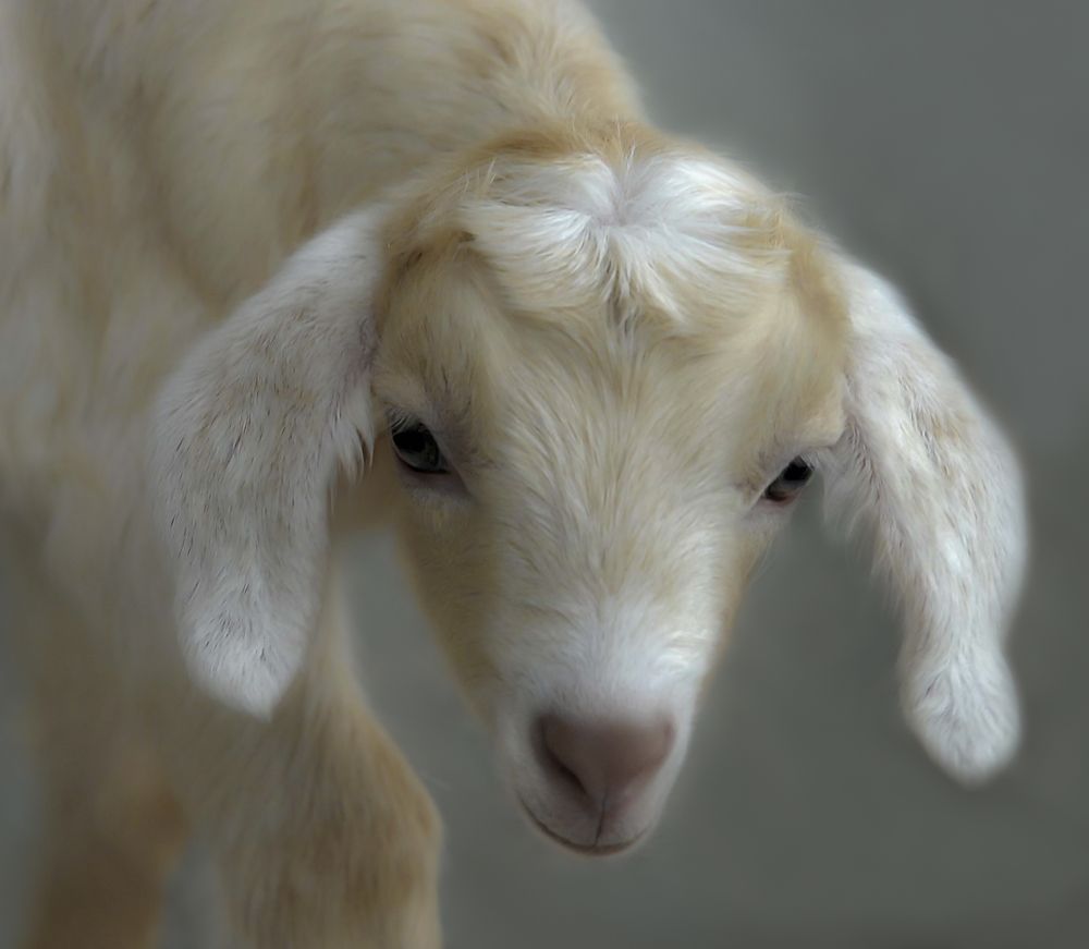 Фотография автора Черновол Валентин