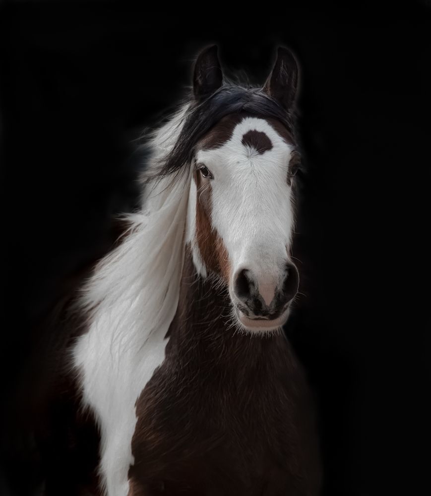 Фотография автора Черновол Валентин