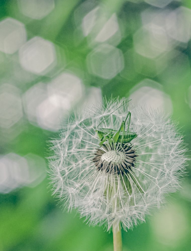 Photograph by Андрей Косяк