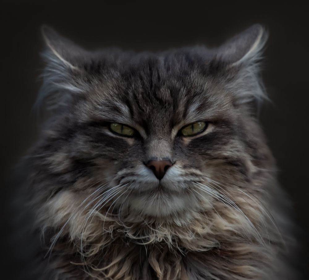 Фотография автора Черновол Валентин