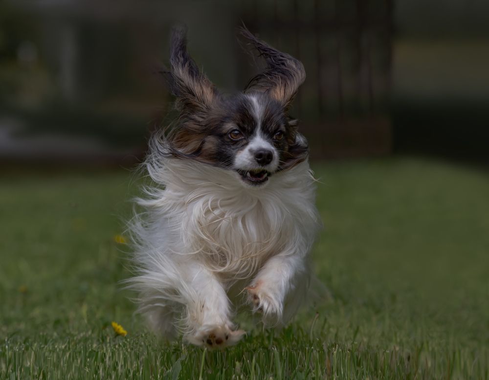 Фотография автора Черновол Валентин