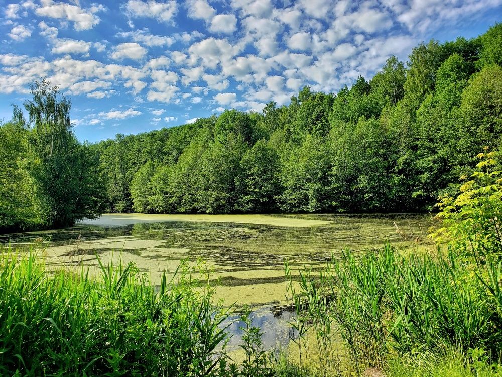 Photograph by Сергей Кравченко