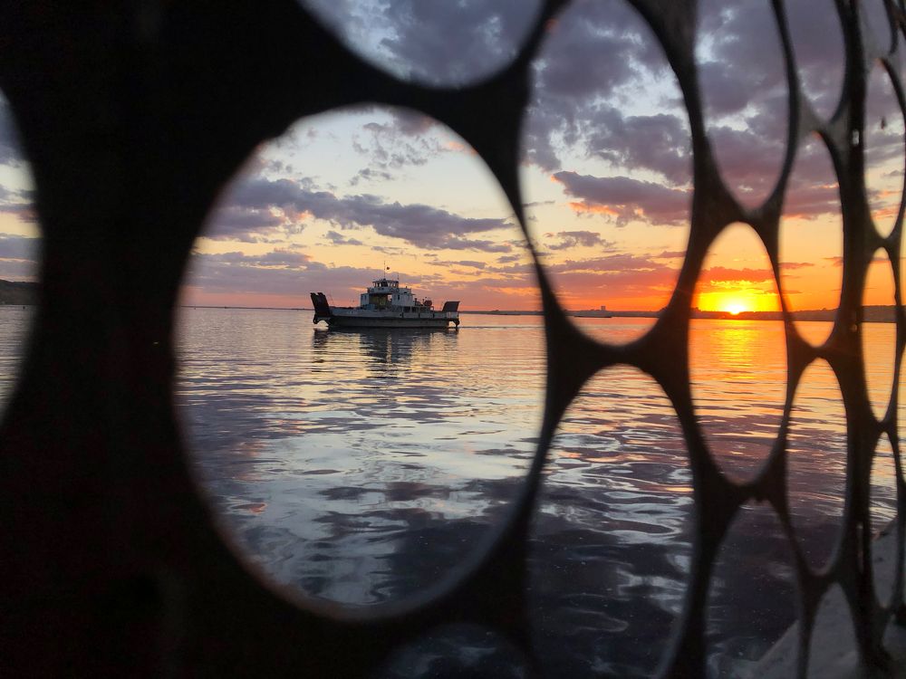 Photograph by Мария Усманова