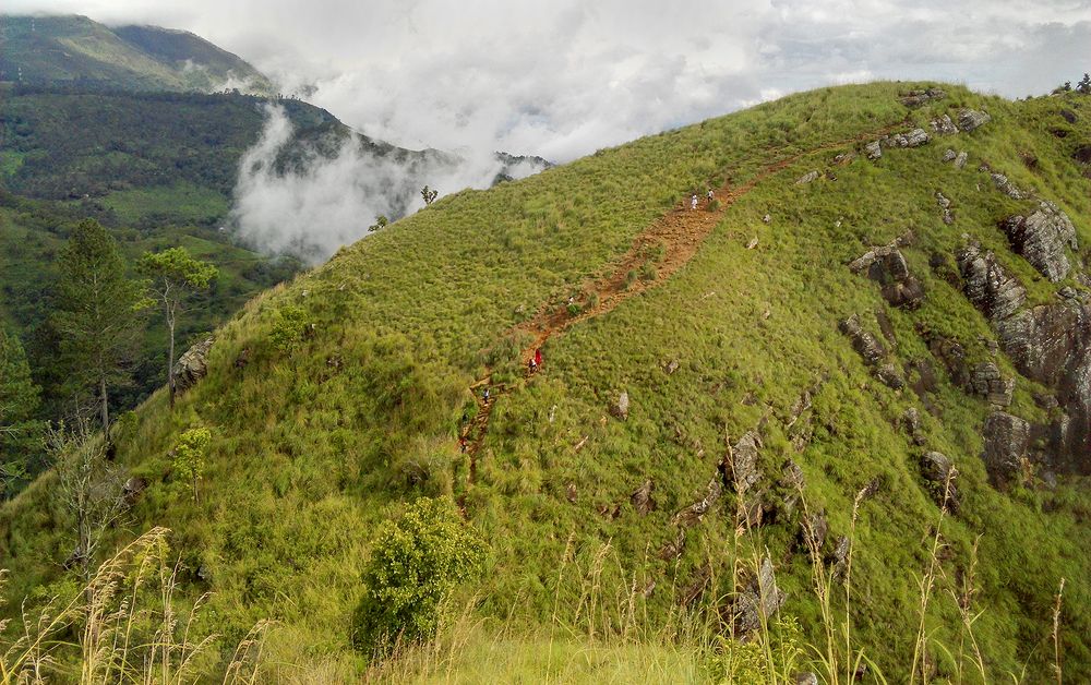 Фотография автора Laddu Sasindu Pramuditha De Silva