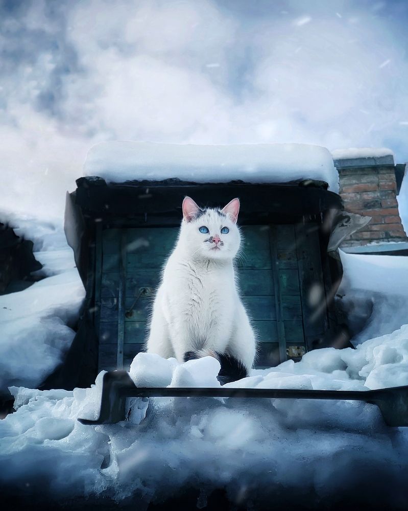 Photograph by Сергей Протасов