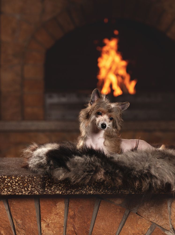 Photograph by Ольга Якимова