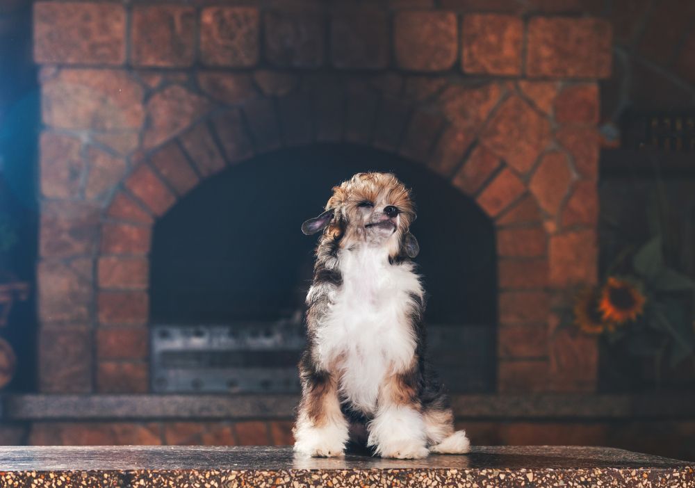 Photograph by Ольга Якимова