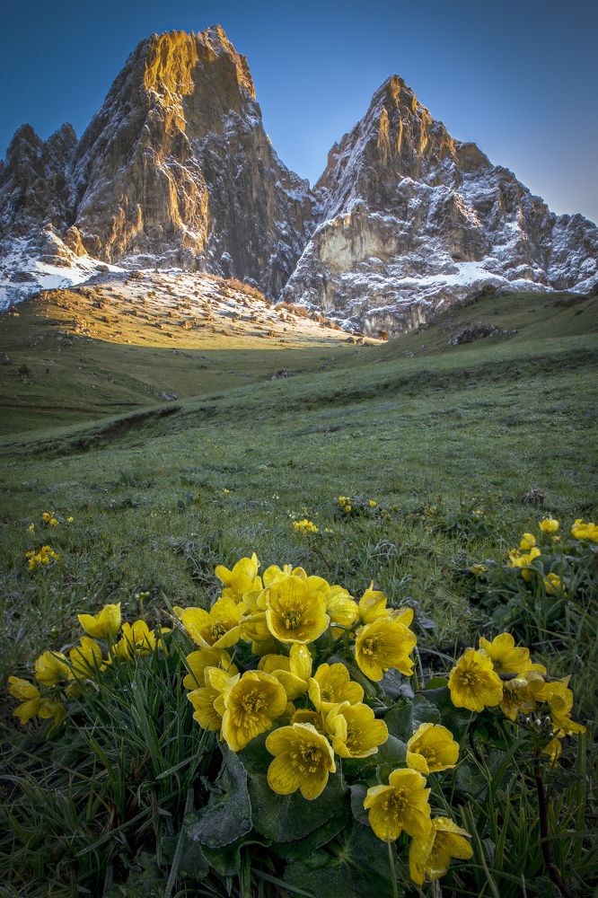 Photograph by Гусева Елена