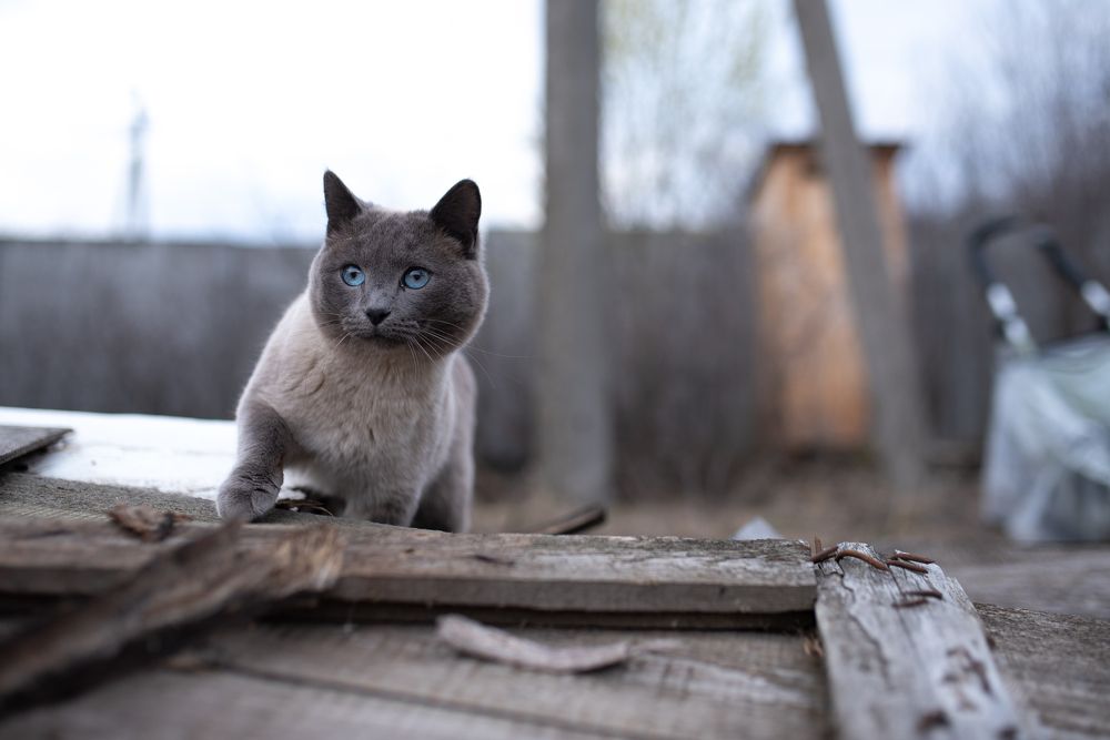 Photograph by Мария Усманова