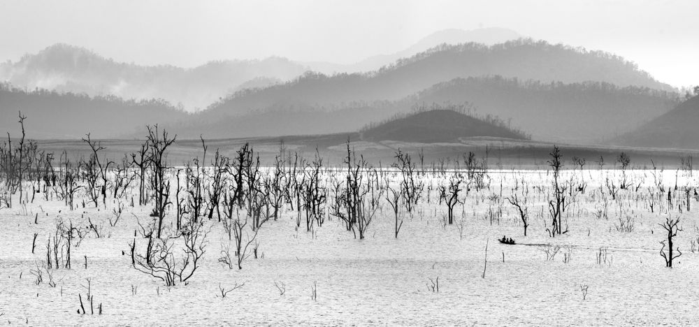 Photograph by Channal Sean