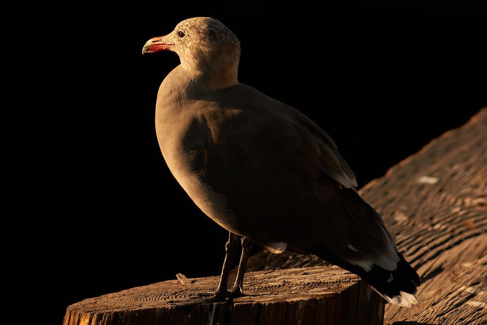 Photograph by Ignacio Jarero