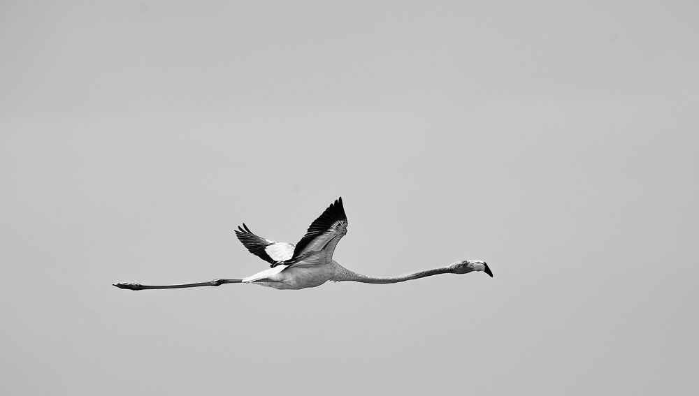 Photograph by Ignacio Jarero