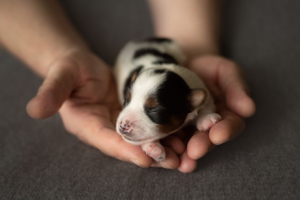 Photograph by Мария Усманова