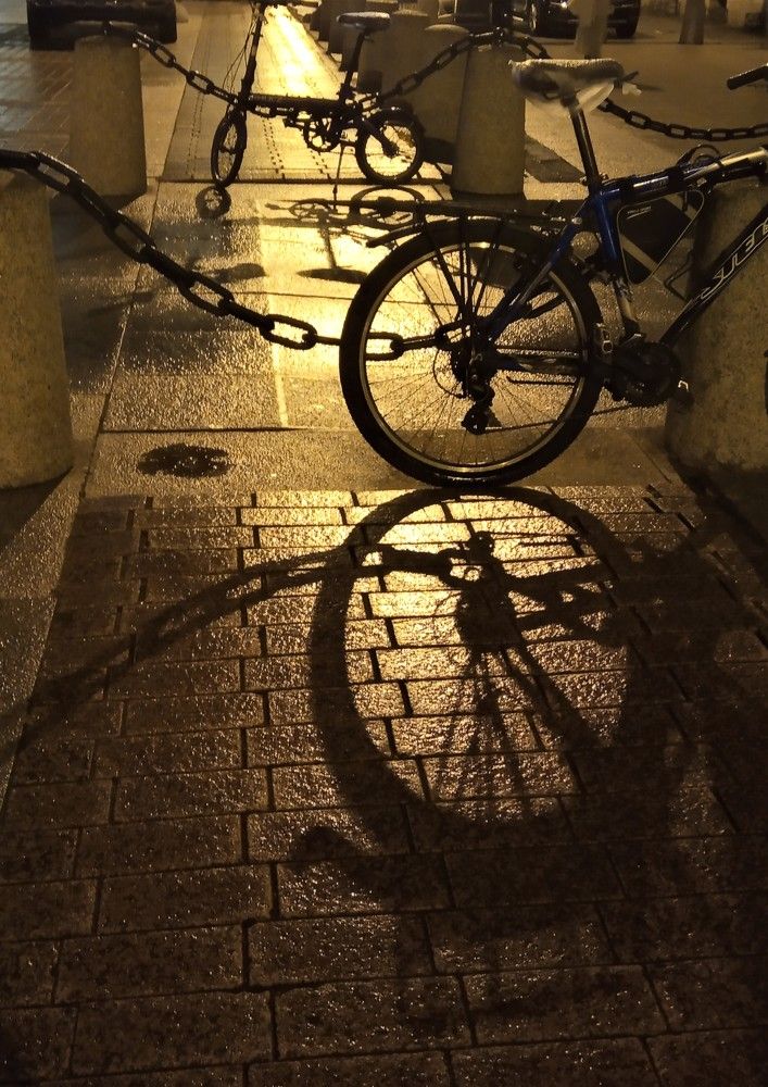 Фотография автора Рохмистрова Мария