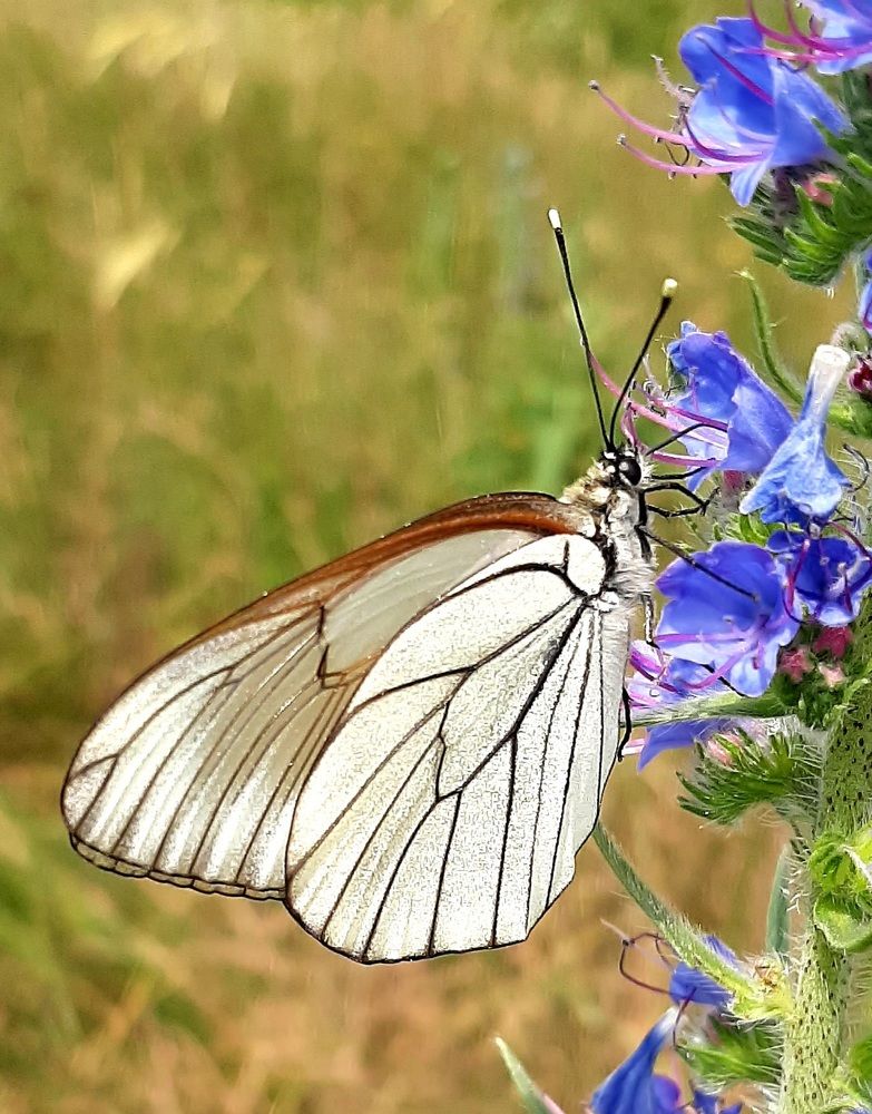 Photograph by Natalya Vasilenko