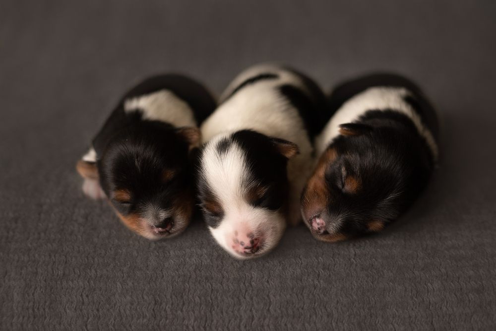 Photograph by Мария Усманова