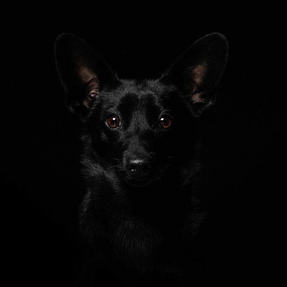 Photograph by Пирожков Александр