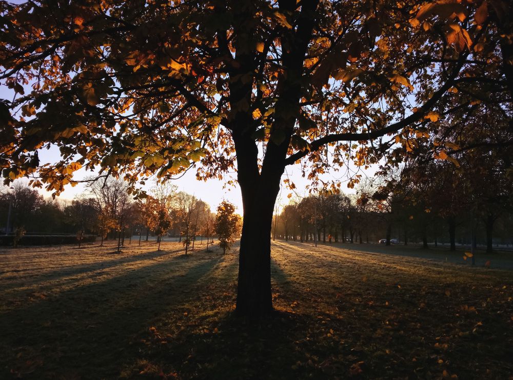 Photo #7653914