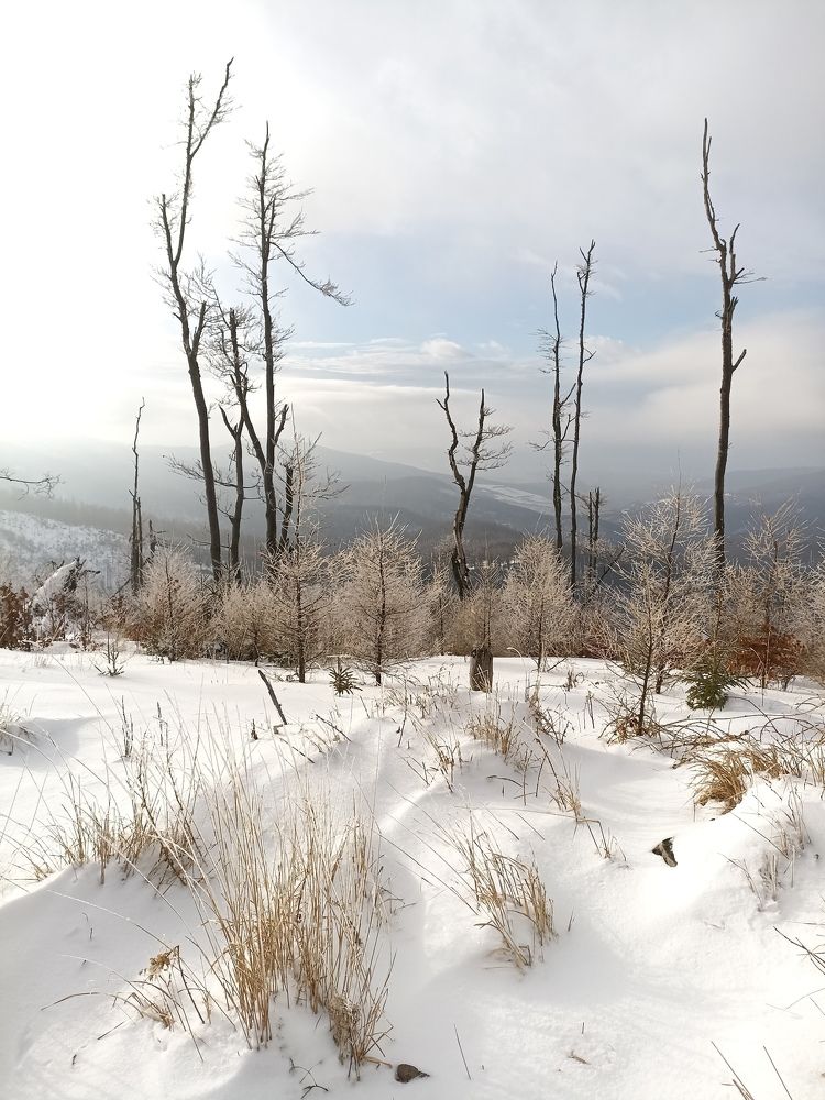 Photograph by Lubomir Novak