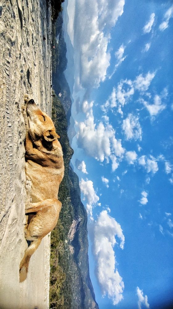 Photograph by Sagnik samajdar