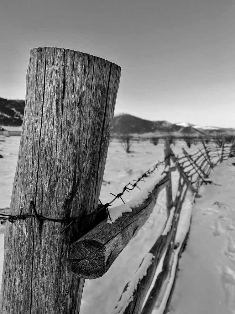 Photograph by Александр Наракшин