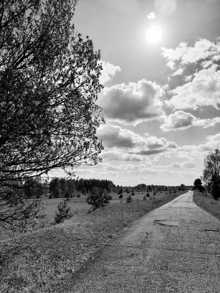 Photograph by Преснухина Екатерина