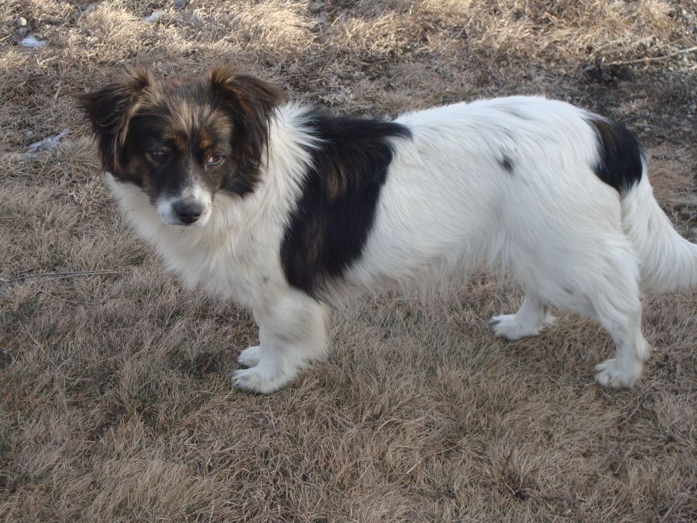 Photo #7654044