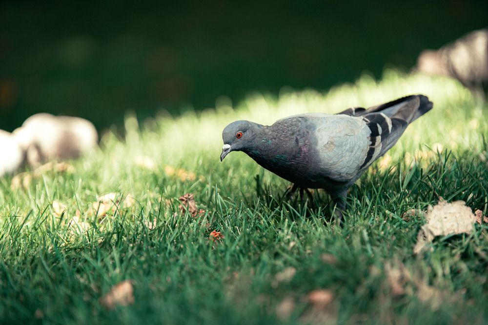 Photograph by Георгий Намазов
