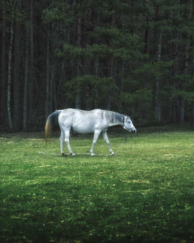 Photograph by Сергей Протасов