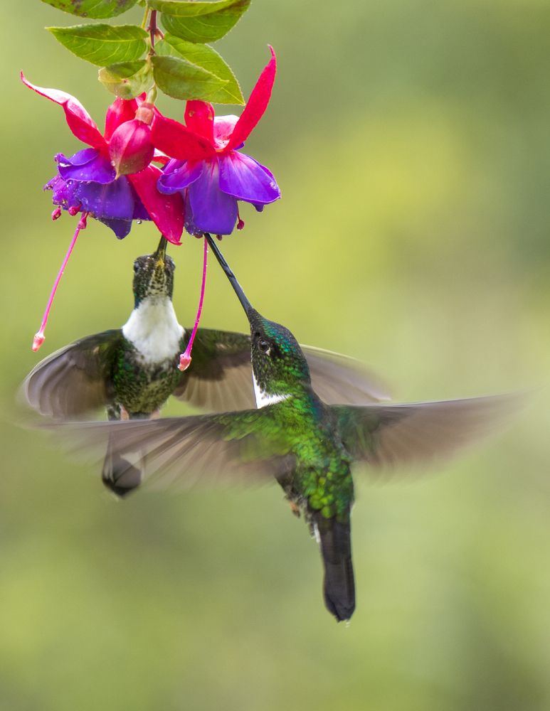 Photograph by Сергей Волков