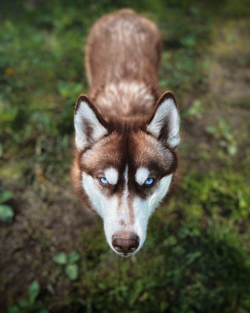 Photograph by Сергей Протасов