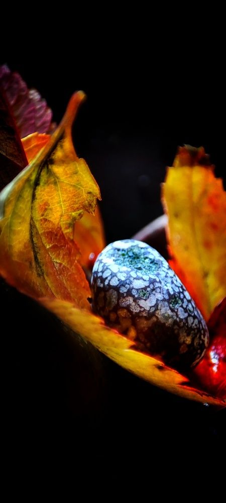 Photograph by Нина Иоселиани