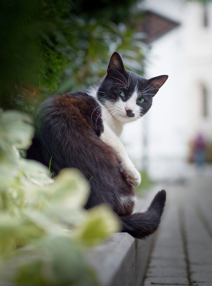 Фотография автора Олесь Парицкий