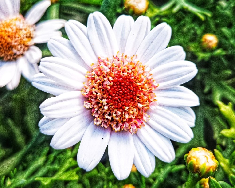 Photograph by Gotcha Biniashvili