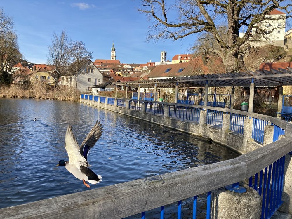 Photograph by Виктория Янушанис