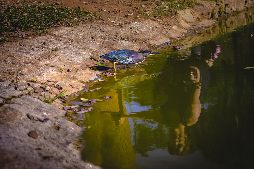 Photograph by Rosana Rossi