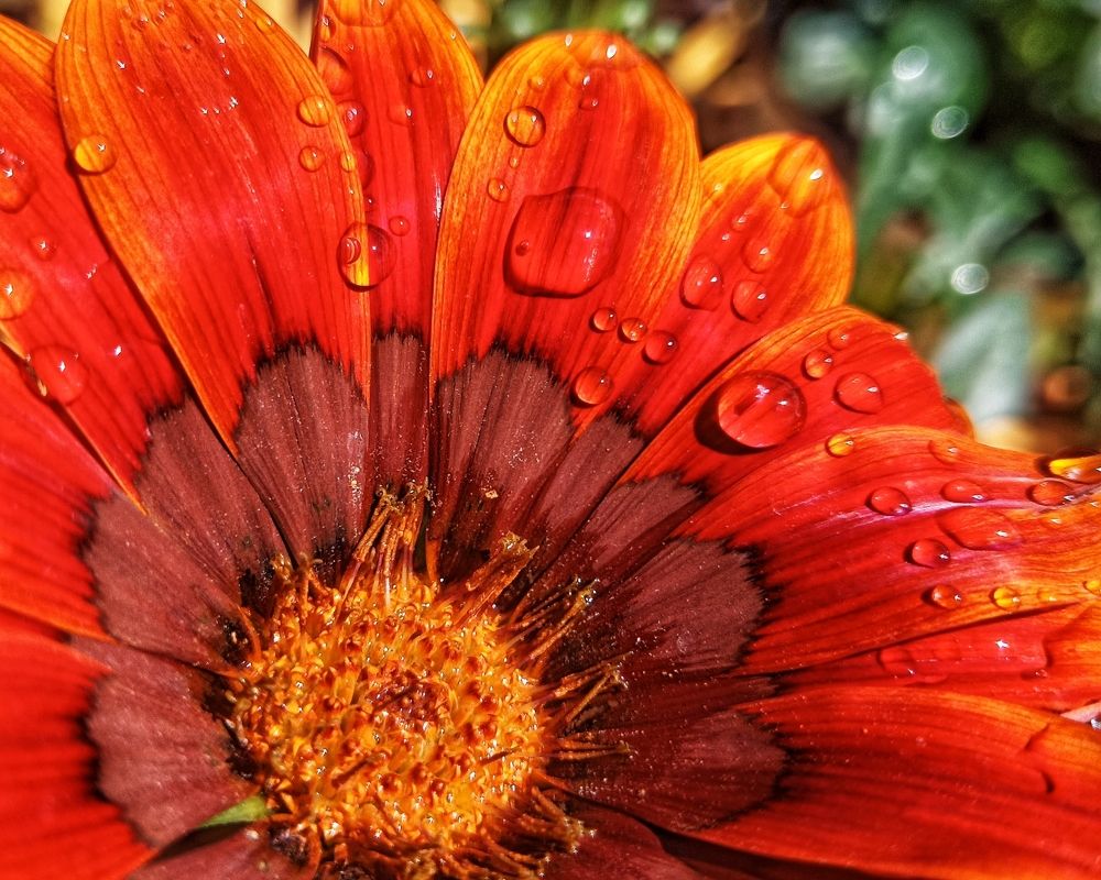 Photograph by Gotcha Biniashvili