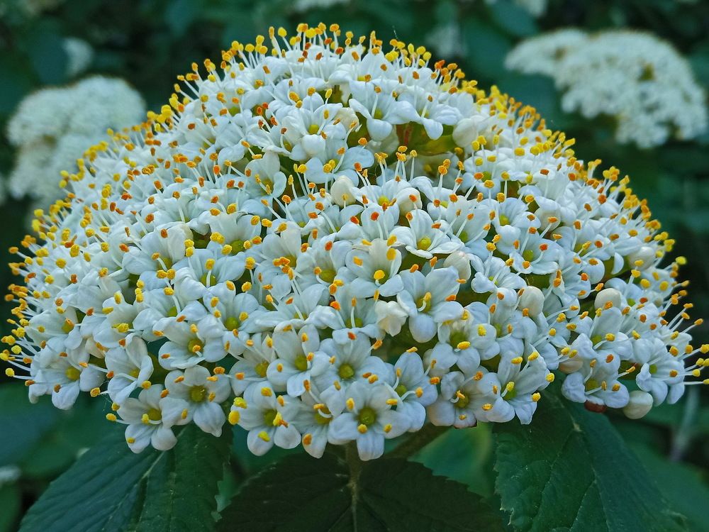 Photograph by Андрей Панин