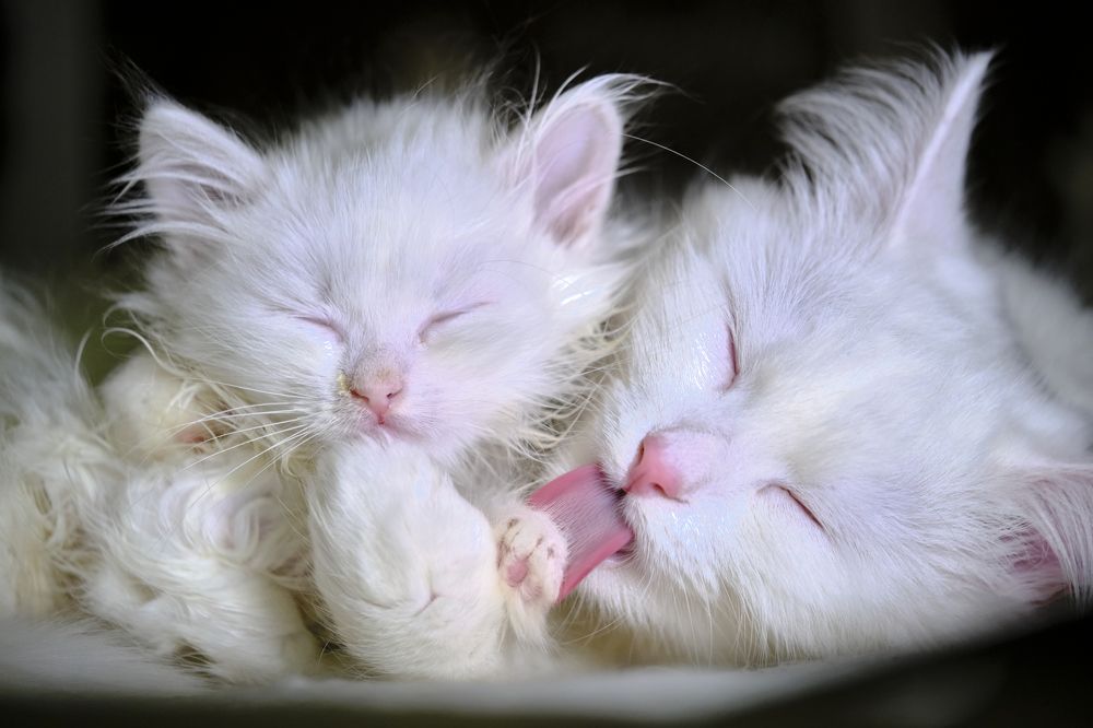 Photograph by Руслан Ибрагимов